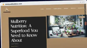 Publish Guest Post on birdsandbubbles.com