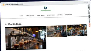 Publish Guest Post on bizcatalystminds.com