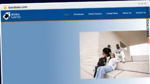 Publish Guest Post on boraliato.com