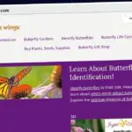Publish Guest Post on gardenswithwings.com