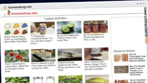 Publish Guest Post on homemaking.com