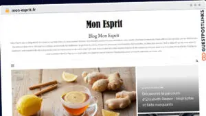 Publish Guest Post on mon-esprit.fr