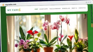 Publish Guest Post on mycadie.com