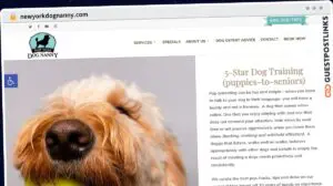 Publish Guest Post on newyorkdognanny.com