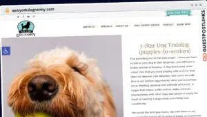 Publish Guest Post on newyorkdognanny.com