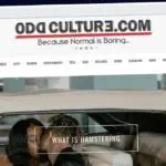 Publish Guest Post on oddculture.com