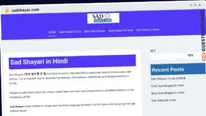 Publish Guest Post on sadshayar.com