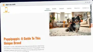 Publish Guest Post on star-vu.com