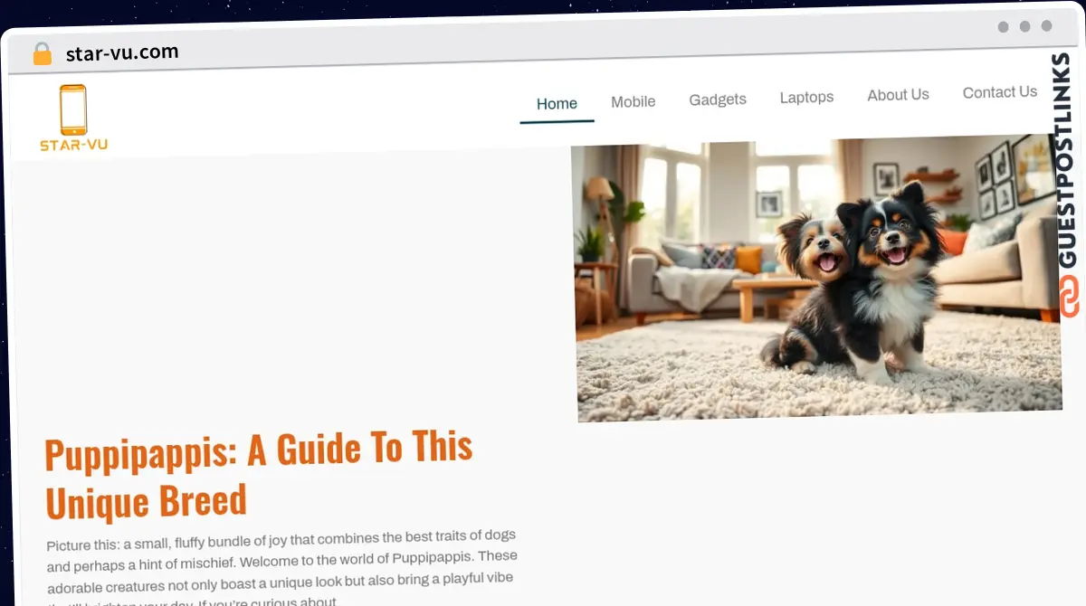 Publish Guest Post on star-vu.com
