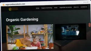 Publish Guest Post on sugarandsucculents.com