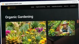 Publish Guest Post on sugarandsucculents.com