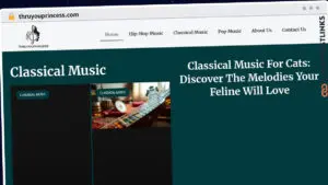 Publish Guest Post on thruyouprincess.com