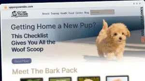 Publish Guest Post on upperpawside.com