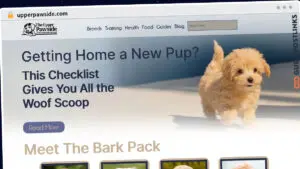 Publish Guest Post on upperpawside.com