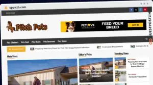 Publish Guest Post on uppicth.com