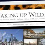 Publish Guest Post on wakingupwild.com