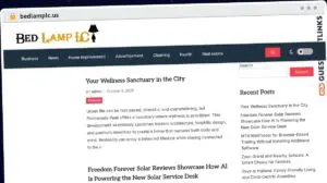 Publish Guest Post on bedlamplc.us