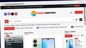 Publish Guest Post on businesscapitalasset.com
