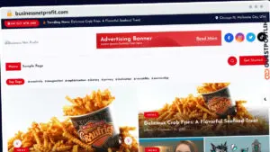 Publish Guest Post on businessnetprofit.com