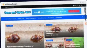 Publish Guest Post on elfinsaddle.com