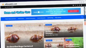 Publish Guest Post on elfinsaddle.com