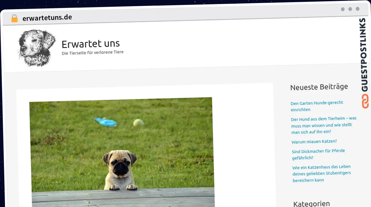 Publish Guest Post on erwartetuns.de