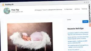 Publish Guest Post on freetoy.de