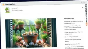 Publish Guest Post on hanniwall.de