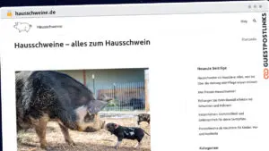 Publish Guest Post on hausschweine.de