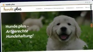 Publish Guest Post on hunde.plus