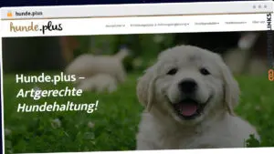 Publish Guest Post on hunde.plus