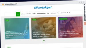 Publish Guest Post on silvertakipci.net