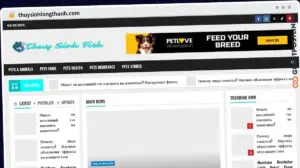 Publish Guest Post on thuysinhlongthanh.com