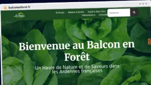 Publish Guest Post on balconenforet.fr