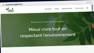 Publish Guest Post on ceriseetvinaigrette.fr