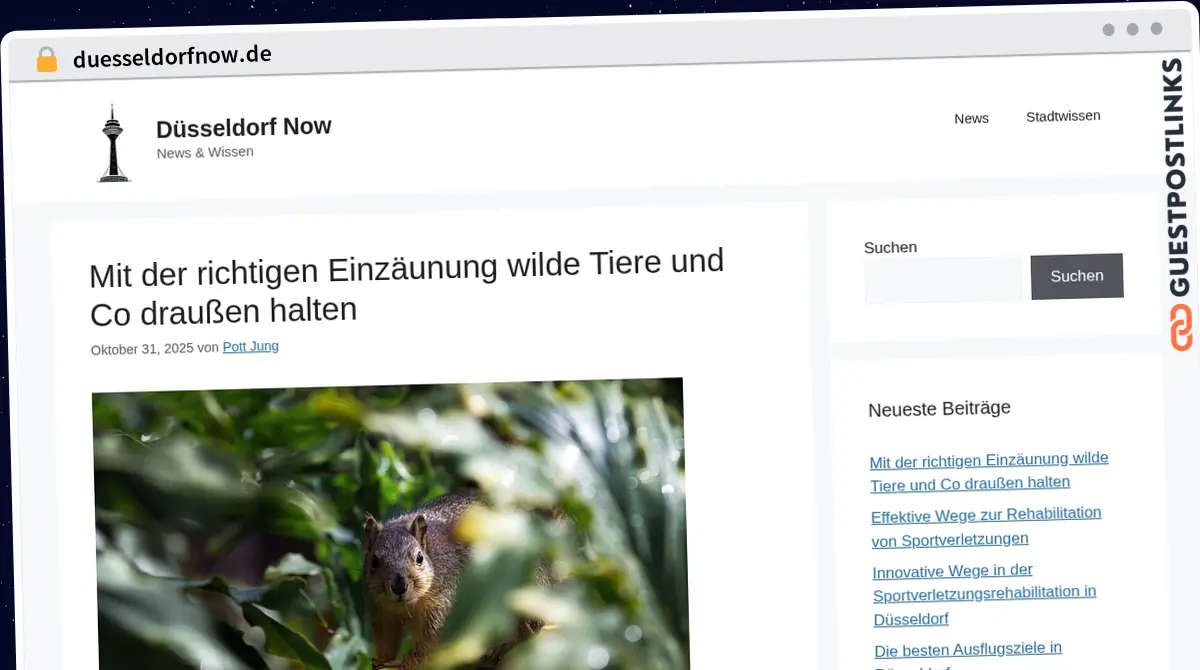 Publish Guest Post on duesseldorfnow.de