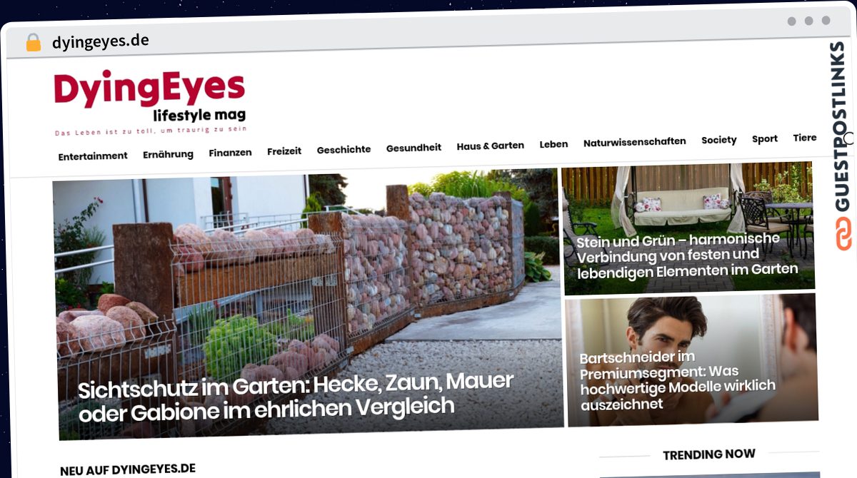 Publish Guest Post on dyingeyes.de