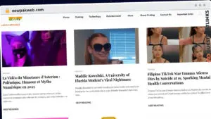 Publish Guest Post on newpakweb.com