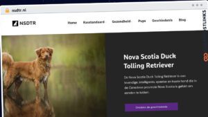 Publish Guest Post on nsdtr.nl