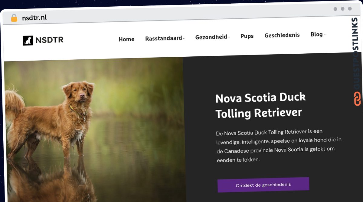 Publish Guest Post on nsdtr.nl