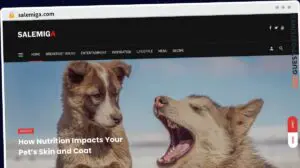 Publish Guest Post on salemiga.com