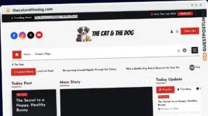 Publish Guest Post on thecatandthedog.com