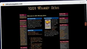Publish Guest Post on 1001winampskins.com