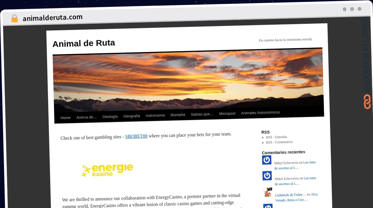 Publish Guest Post on animalderuta.com