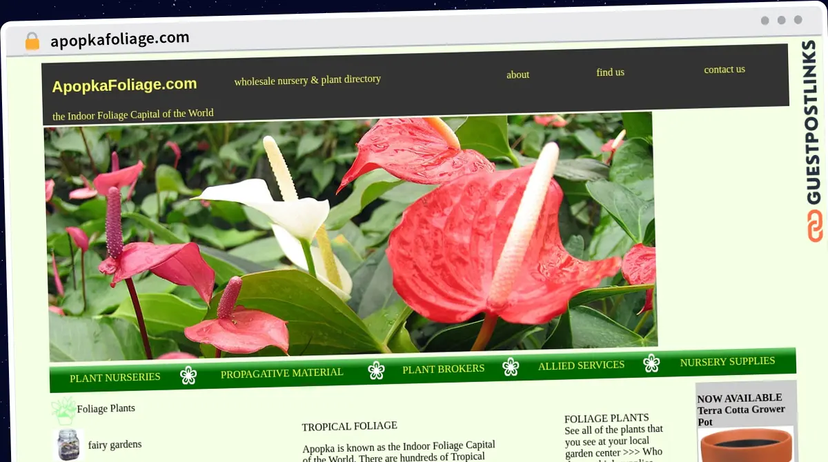 Publish Guest Post on apopkafoliage.com