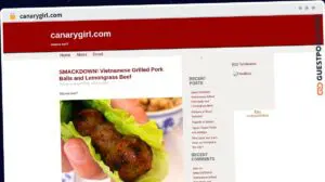 Publish Guest Post on canarygirl.com