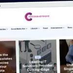 Publish Guest Post on celebsbiofolio.com