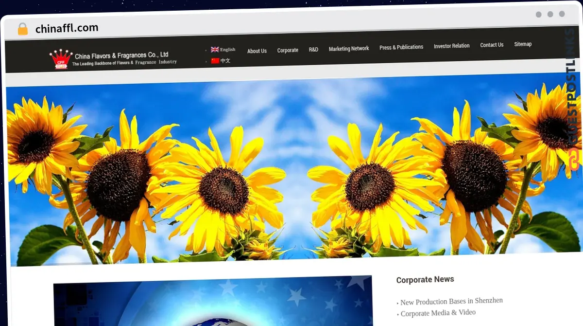 Publish Guest Post on chinaffl.com
