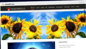 Publish Guest Post on chinaffl.com