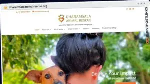 Publish Guest Post on dharamsalaanimalrescue.org